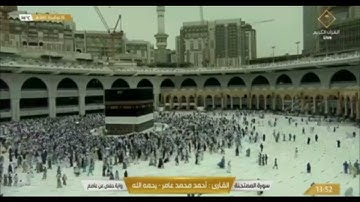 سورة الممتحنة بصوت الشيخ أحمد محمد عامر ❤️