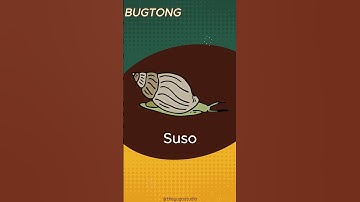 Bugtong Bugtong | Filipino Riddles  #quiz #riddles #brainout #bugtong #puzzle #bugtungan #palaisipan