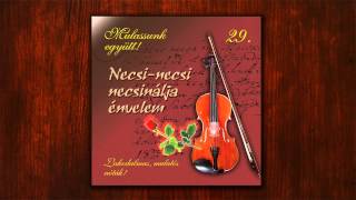 Rózsa Ignác - Necsi-necsi, ne csinálja énvelem | Lakodalmas, mulatós nóták |