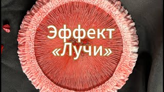: # 92 / RU.    /   /    /   