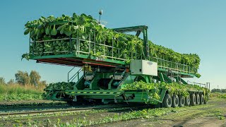 2024's Advanced Agricultural Tech: Harvesting Machines for Pumpkins, Brussels Sprouts, and Walnuts