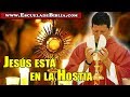 ¿Por qué los Católico adoran a Jesús en la Hostia? - P. Luis toro