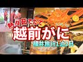 【1泊2日】12月福井旅行/あつあつ茹でたての越前蟹/あわら温泉の湯は最高すぎた😊✨