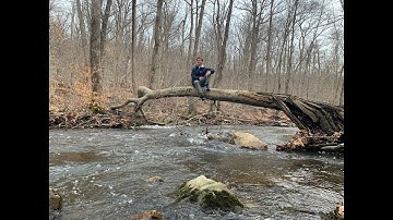 Biological and Habitat Stream Assessment