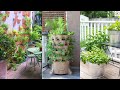 6 Types of Urban Herb Gardens That Need No Space