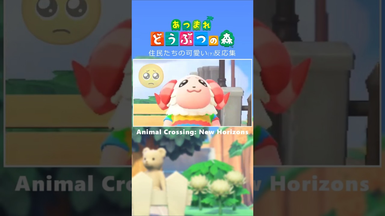 うちの可愛い住民たちを見てってください #shorts