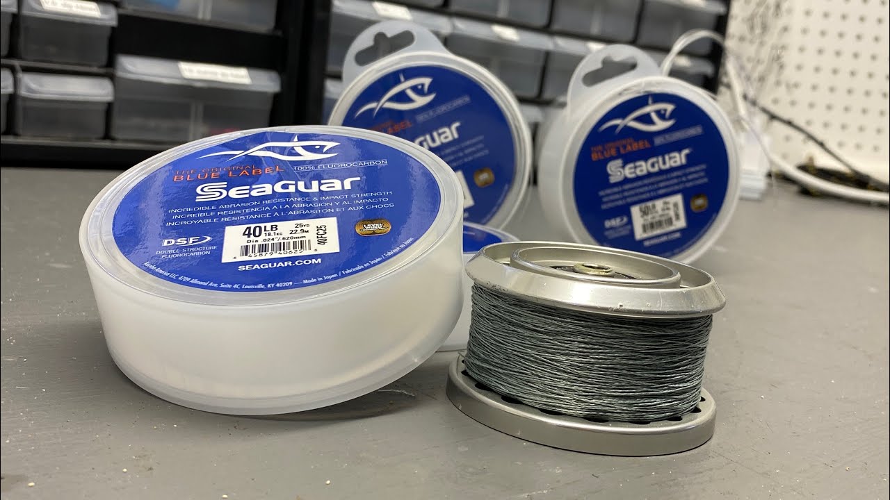 Best Fishing Line For Striped Bass 