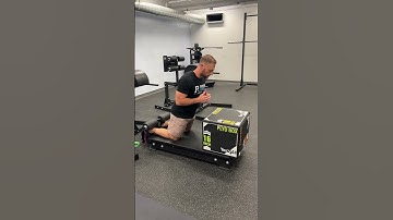 Nordic Hamstring Curl (Modified)