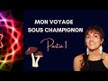 Voyage psyc.lique sous champignon magique