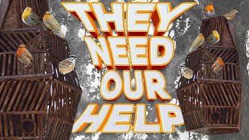 EASIEST DIY Birdhouse with Minimal Tools, Every Step Explained