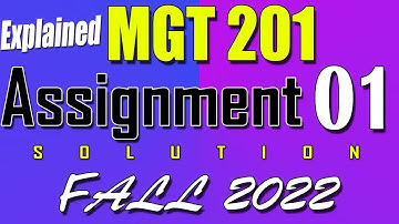 MGT201 Assignment 1 Solution Fall 2022 | MGT201 Assignment 1 Solution 2022