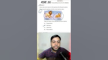 Solution of Q 1 of Icse class 10 specimen paper 2024 Computer Applications with tip n tricks #short