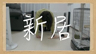 【チンチラ】犬用ペットサークル組み立て【Chinchilla】【豆柴】