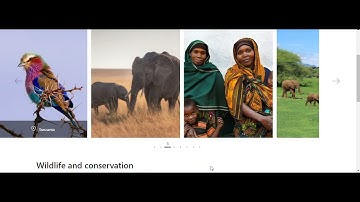 How to Build a Responsive Slider With Swiper.js