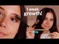 How to Grow Your Eyelashes Fast! | best mascaras, lash serums, grow healthy long lashes, latisse