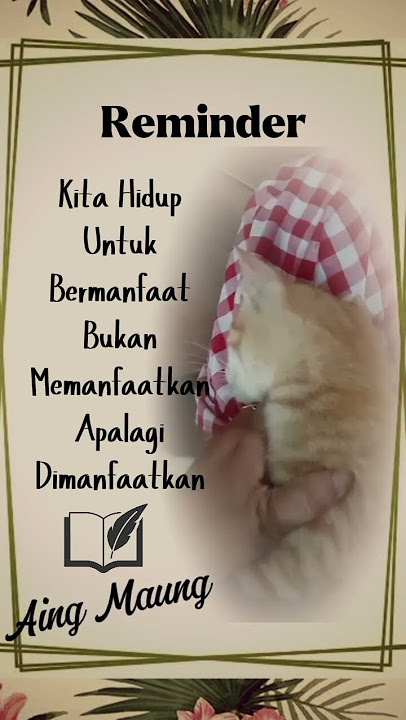 #cat #relationship