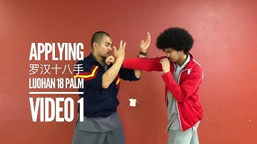Kung Fu Applications | Luohan 18 Palm  | Part 1