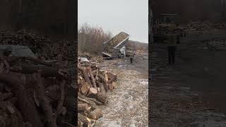 Дело мастера боится