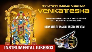Instrumental | Tirupathimalai Vazhum Venkatesha | V N R Balaji & Party | Nadaswaram | Instrumental screenshot 4