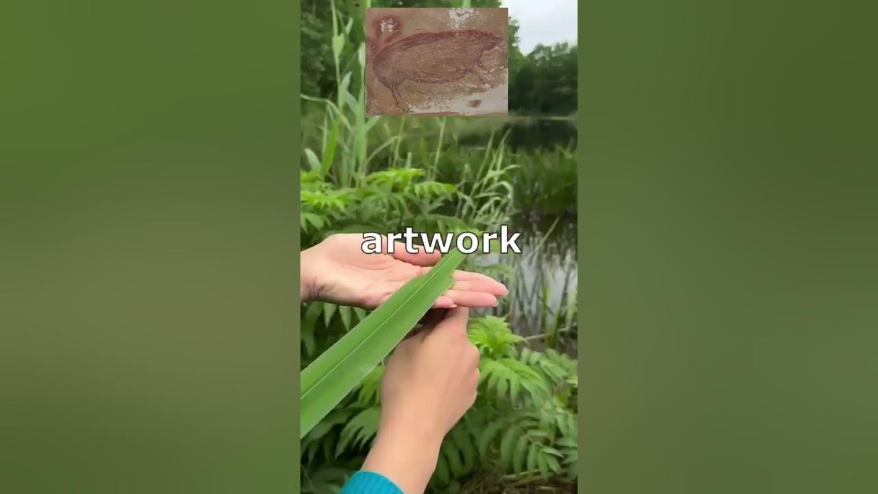 Did you know it? redditstories reddit YouTube