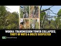 Wokha  transmission tower collapses theft of nuts  bolts suspected