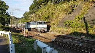 東京メトロ17000形甲種輸送 JR貨物新鶴見機関区EF65-2138牽引 函南駅付近通過