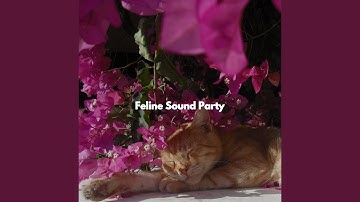 Romantic Moods for Open Work Floors