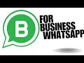 Most Business WhatsApp Users Don't Try Out This Feature 👀