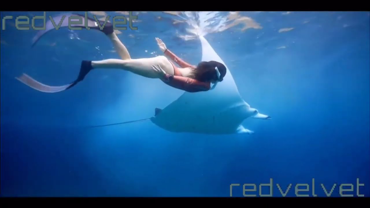 Underwater World: 🌊 Dive Into the Abyss! 🐠 