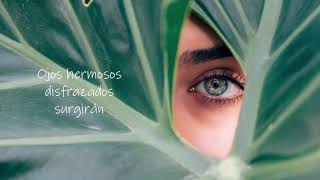 The Naked Brothers Band - Beautiful Eyes (Sub Español 2019)