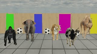 Choose Right Door with Elephant Gorilla Cow Tiger Dinosaur lion camel Wild Animals Games