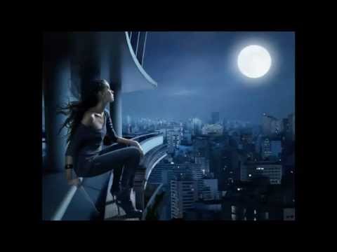 SHOLA THA JAL BUJHA HUN On Veengle Flv By Ali Pasha347