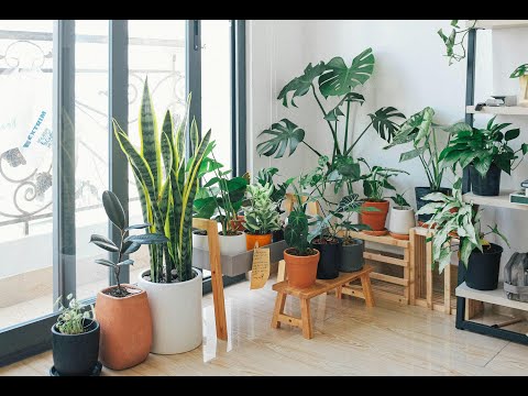 MOST AMAZING CERAMIC, PLASTIC AND FIBER POTS | STYLISH POTS | IMPORTED ARTIFICIAL PLANTS