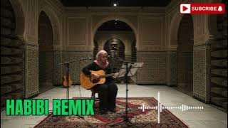 đ DJ Habibi Remix Nonstop | Viral Arabic Music 2025 â¨