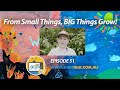 From small things big things grow  episode 51  shire talk tv