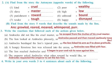 1.2 Androcles and the Lion question answer 8th class English subject page no. 10 by Zameer Sir