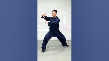 太极八法: 棚，捋，挤，按，採，挒，肘，靠。