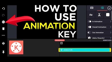 How To Use Animation Key In KineMaster || Animation Key || KineMaster Tutorial