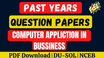 DU-SOL Computer Applications in Business B.Com 3rd Year | Past Year Question Papers | DU-SOL |NCWEB