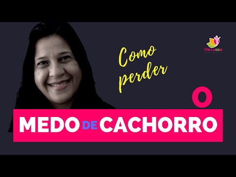 Vídeo: Como Se Livrar Do Medo De Cachorros