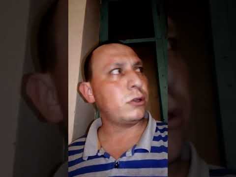 Галлюциногенный  гриб.