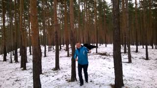 Ворон Вася на прогулке в лесу /  talking crow Vasya on a walk in the forest. (Speaks Russian)