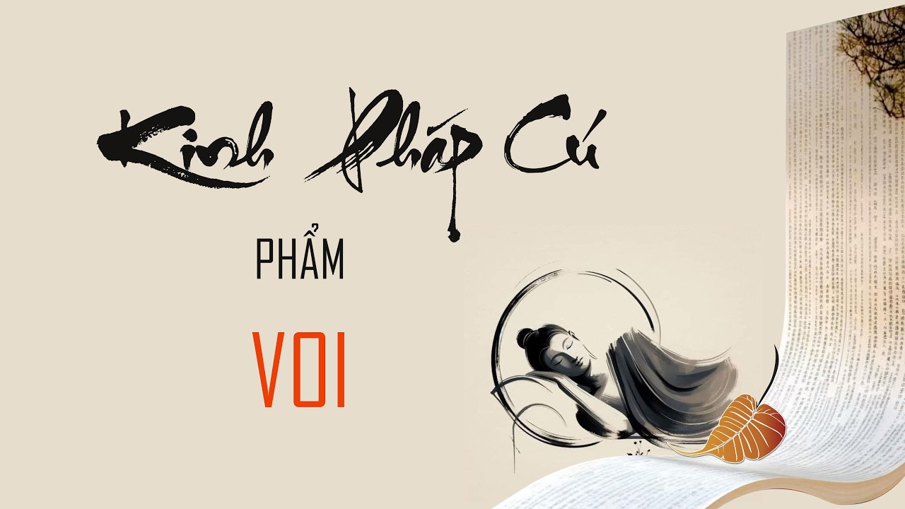 Kinh Pháp Cú - Phẩm Voi - Thầy Thích Đạo Toàn thuyết giảng
