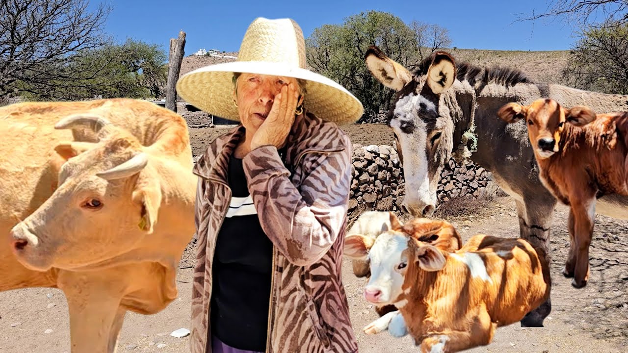 ELLOS SON LA HERENCIA DE MI VIEJITO y son MÁS GENTE QUE LA GENTE