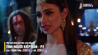 tình người kiếp rắn (phần 2) - trailer