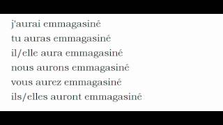 Conjugaison Visuelle Emmagasiner