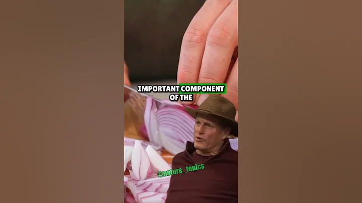 Woody Harrelson Explains Why He Only Eats Raw Vegan Food | Joe Rogan Experience