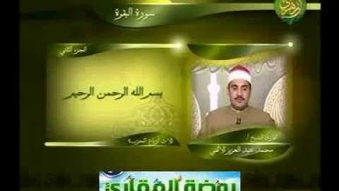 الشيخ محمد عبد العزيز الالفى سورة البقرة
