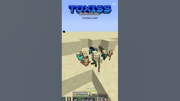 ip: Toxiss.net #toxiss #cpvp #minecraft #donutsmp #drdonut
