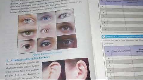 VIII SCIENCE LESSON# 7 TOPIC: INHERITABLE & NON-INHERITABLE CHARACTERS